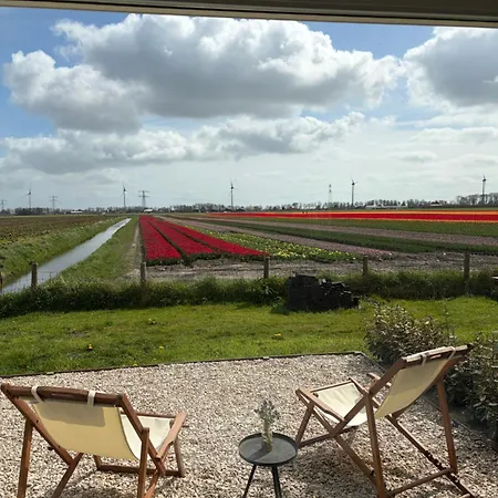 Bed & Breakfast Studio34 3*