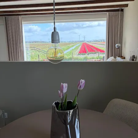 Bed & Breakfast Studio34