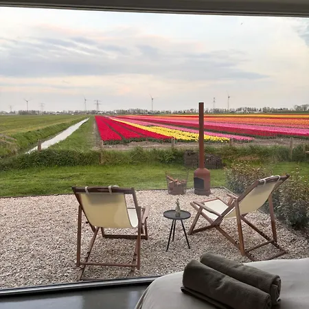 Bed & Breakfast Studio34 Hauwert
