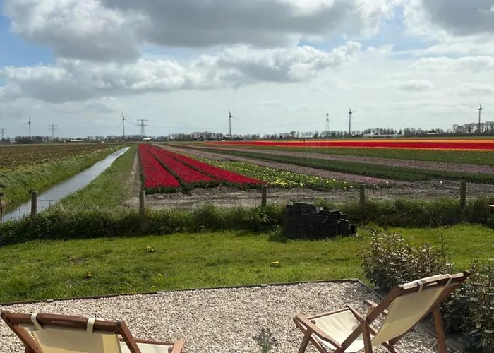 Bed & Breakfast Studio34 3*