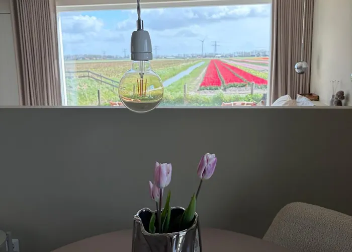 Bed & Breakfast Studio34